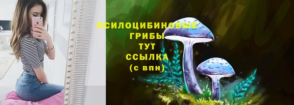 MESCALINE Иннополис