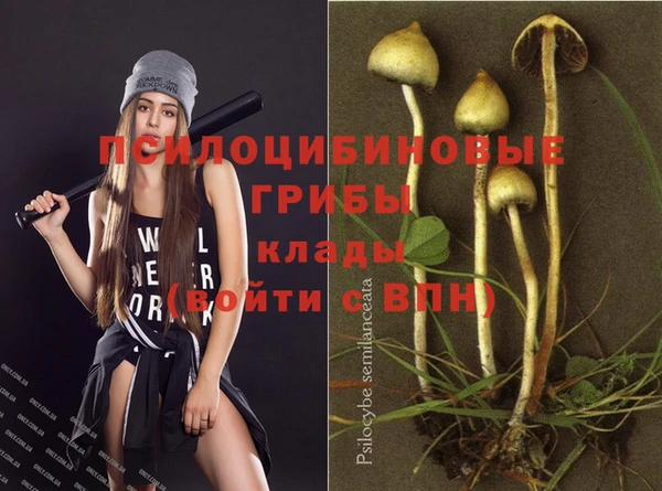 гашиш Инсар