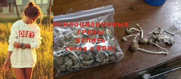 кристаллы Инта