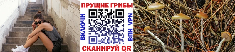 Галлюциногенные грибы Magic Shrooms Кадников